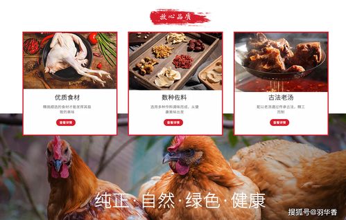 古法老汤 好吃的烧鸡 烧鸡的做法